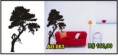 /album/catalogo-arvores-e-florais-anote-o-modelo-desejado-/ad-063-jpg/